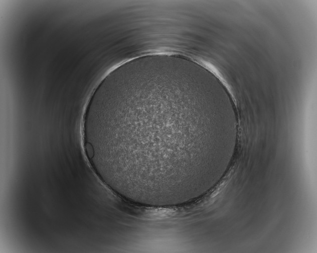 X0000088481187200705291621