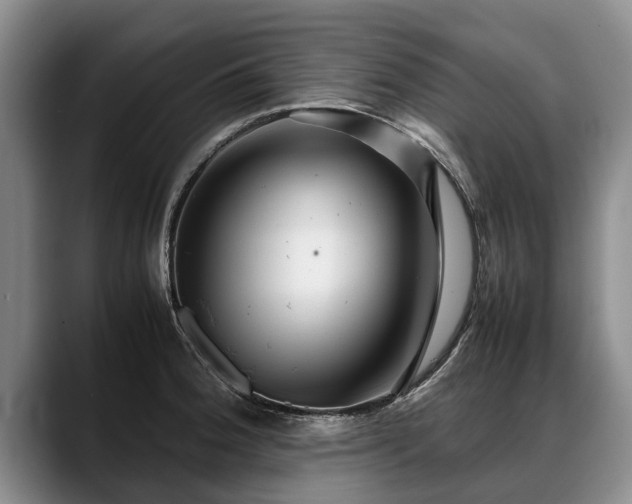 X0000088481188200705291621