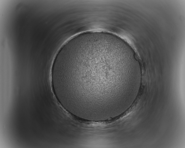 X0000088481191200705291621
