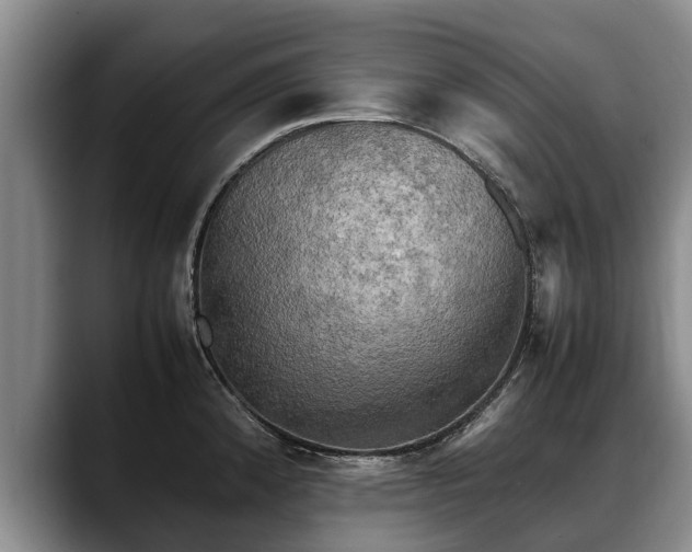 X0000088481192200705291621
