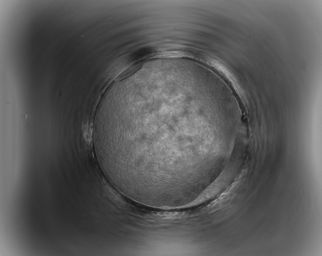 X0000088481193200705291621