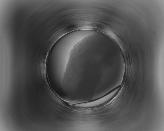X0000088481194200705291621