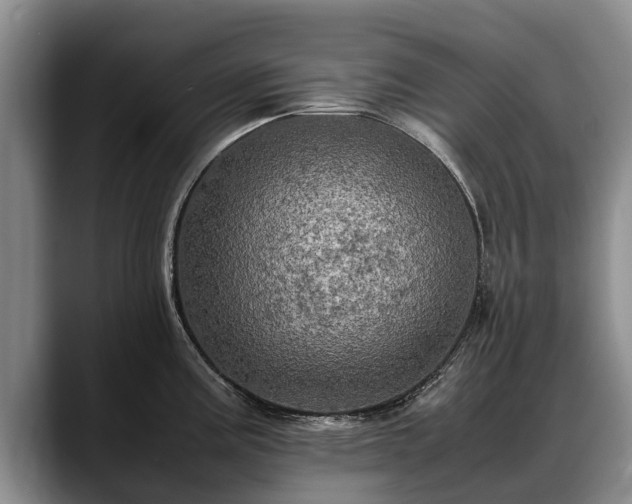 X0000088481195200705291621
