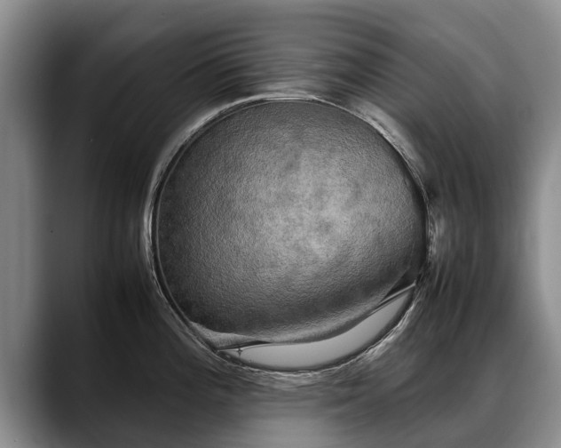X0000088481196200705291621