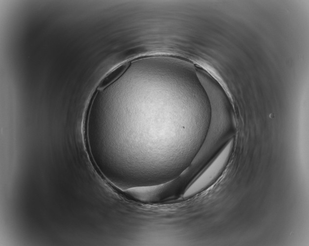 X0000088481197200705291621