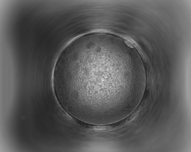 X0000088481199200705291621