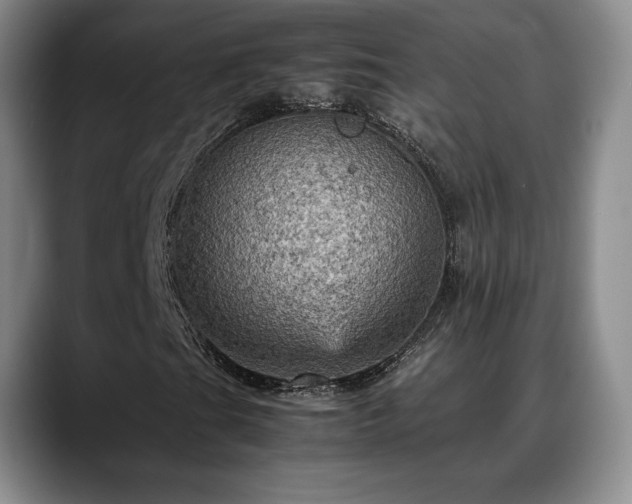 X0000088481201200705291620