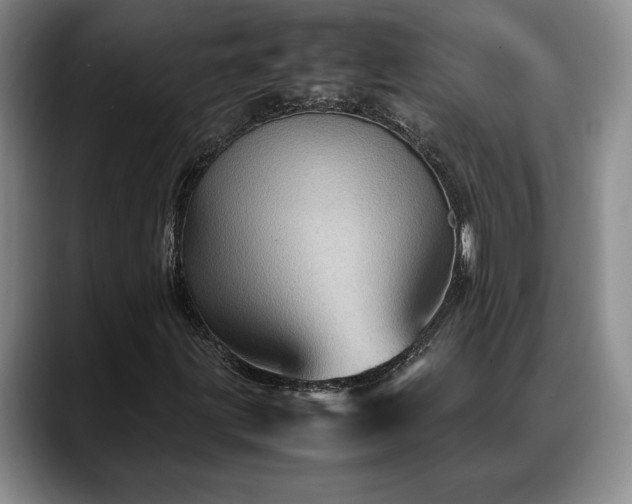 X0000088481203200705291620