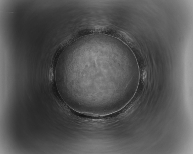 X0000088481204200705291620