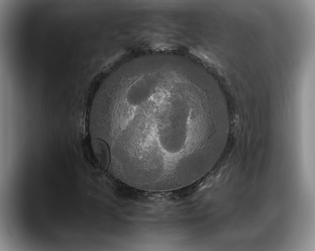 X0000088481205200705291620
