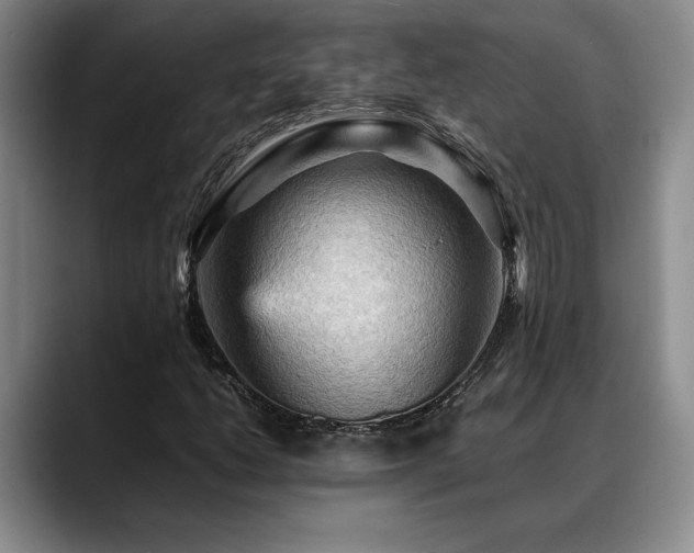 X0000088481206200705291620