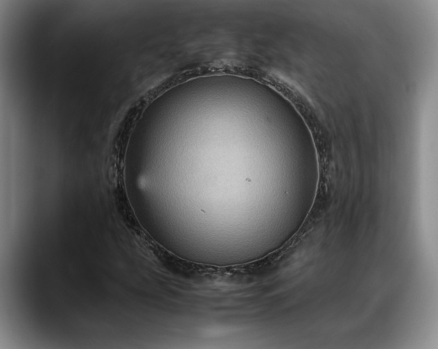 X0000088481207200705291620