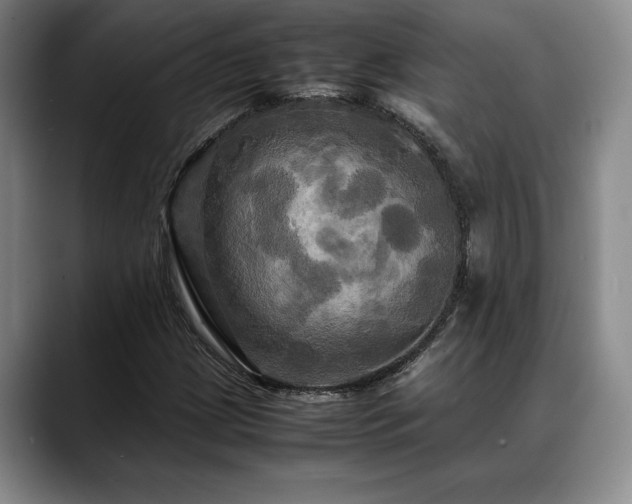 X0000088481209200705291620