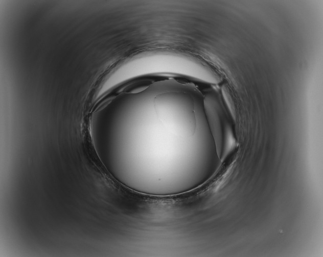 X0000088481210200705291620