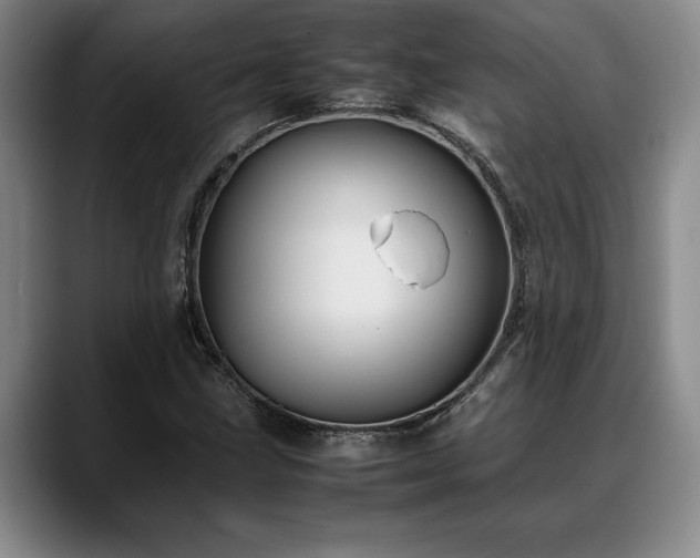 X0000088481211200705291620