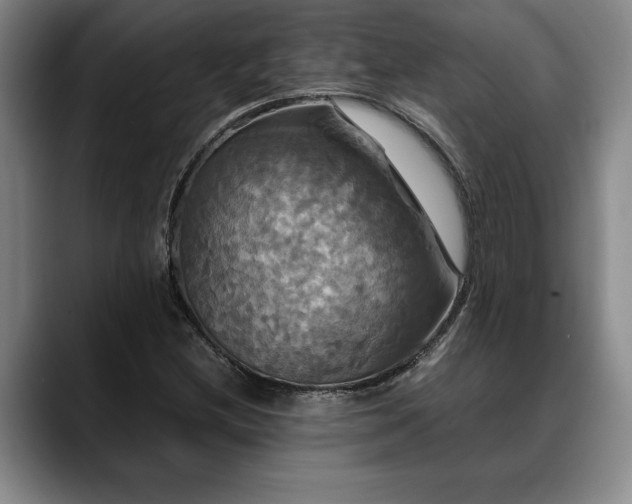 X0000088481212200705291620