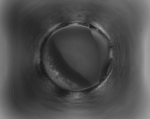 X0000088481213200705291620