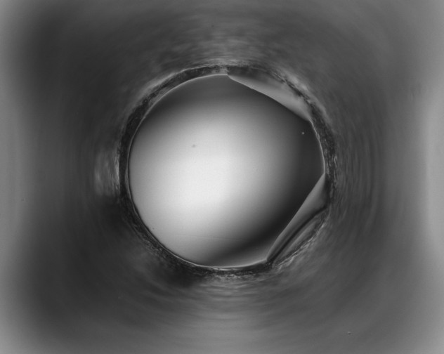 X0000088481214200705291620