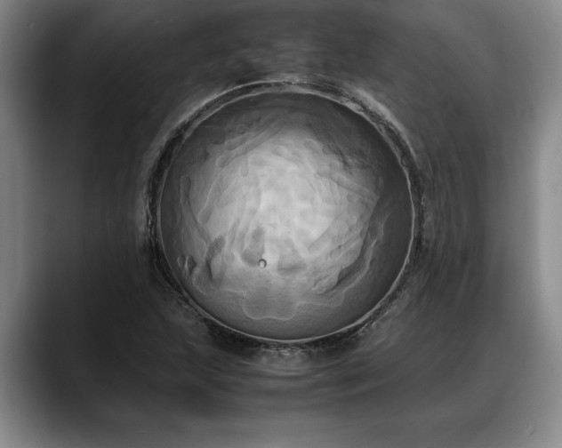 X0000088481215200705291621