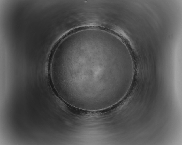 X0000088481216200705291621