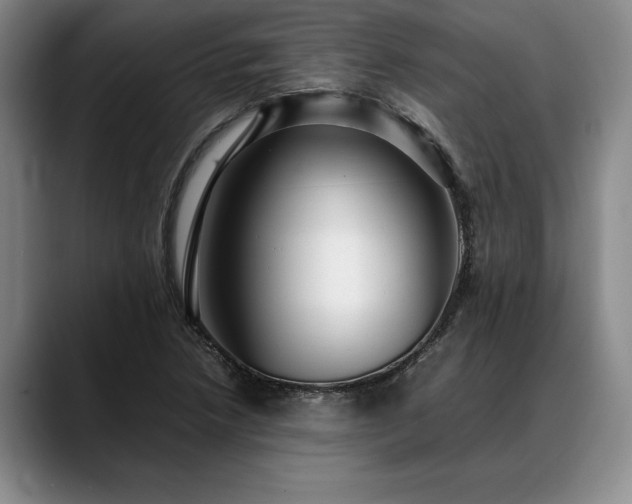 X0000088481218200705291621