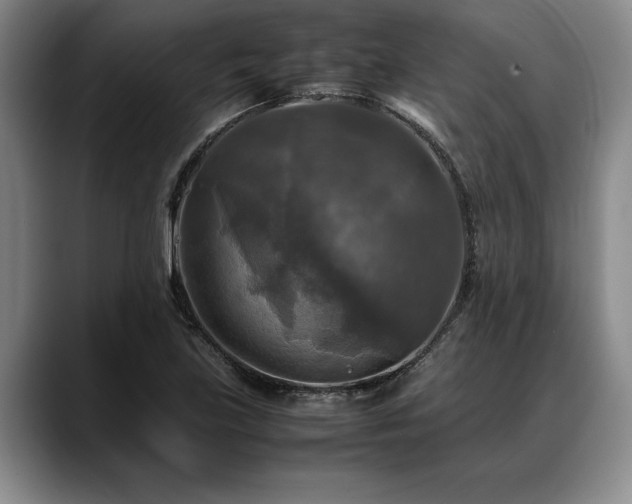 X0000088481219200705291621