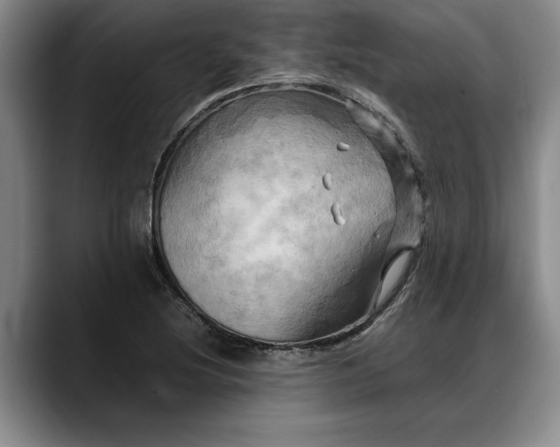 X0000088481220200705291621
