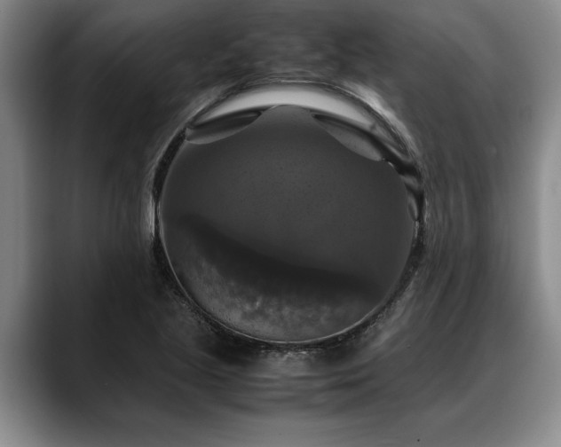 X0000088481221200705291621