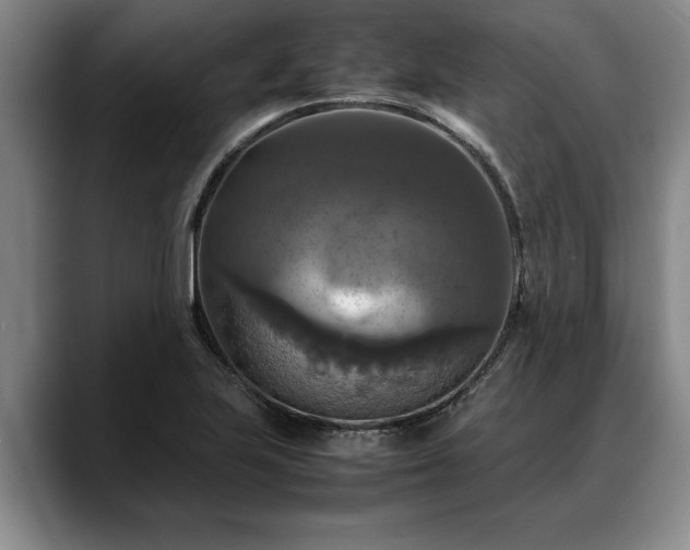 X0000088481223200705291621