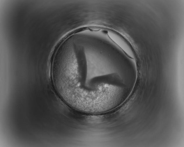 X0000088481224200705291621