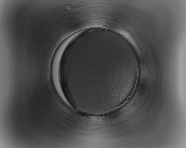 X0000088481226200705291621