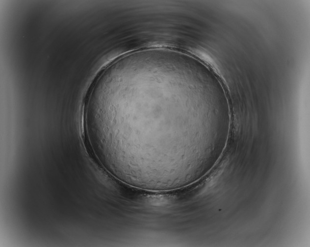 X0000088481227200705291621