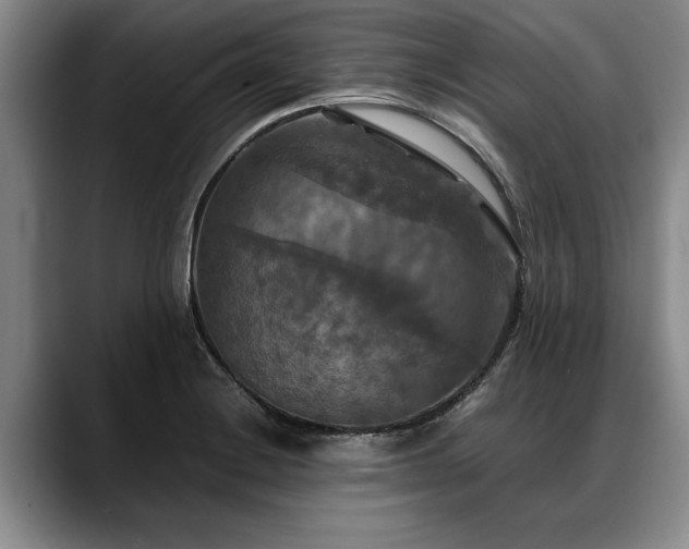 X0000088481228200705291621