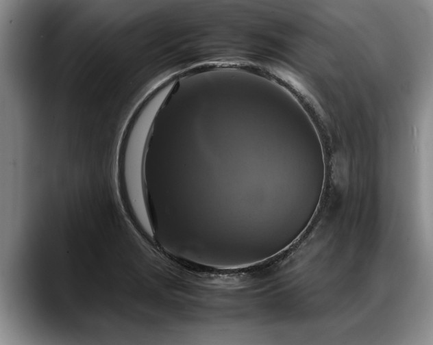 X0000088481229200705291621