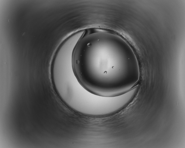 X0000088481230200705291621