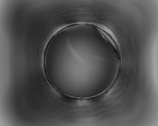 X0000088481231200705291621