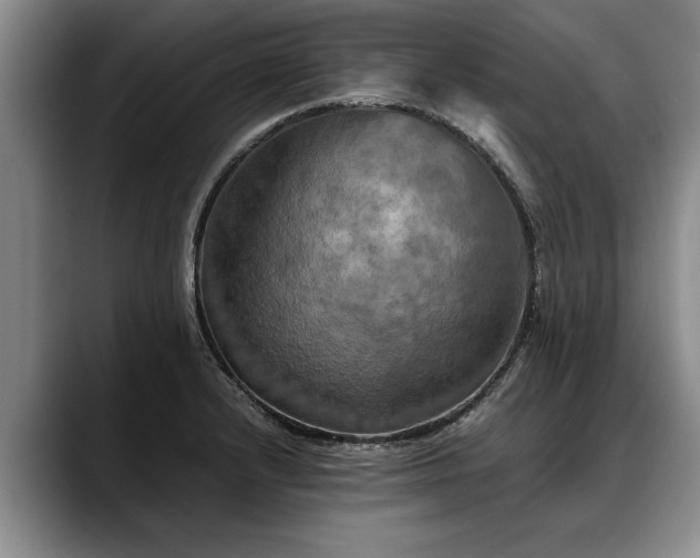 X0000088481232200705291621
