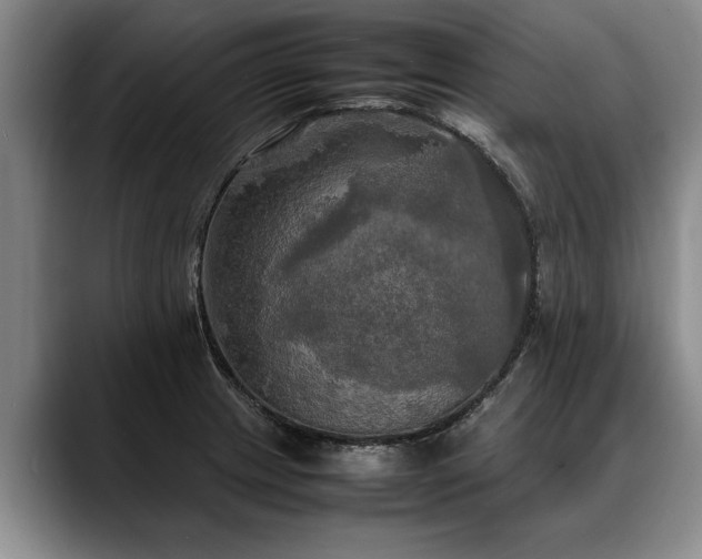 X0000088481233200705291621