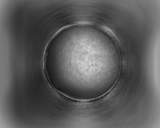 X0000088481236200705291621