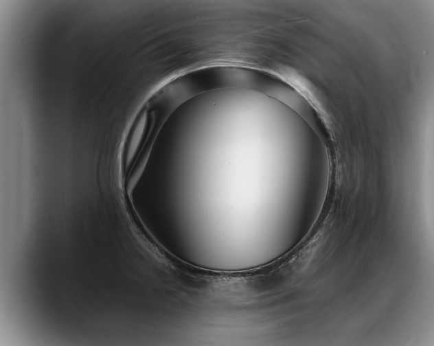X0000088481238200705291621