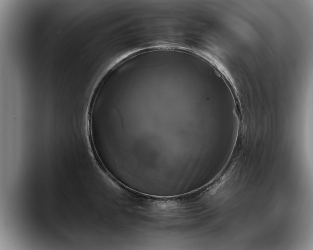 X0000088481239200705291621