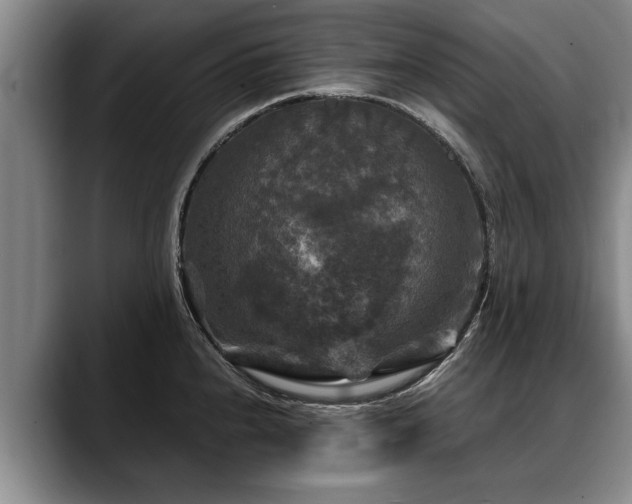 X0000088481240200705291621