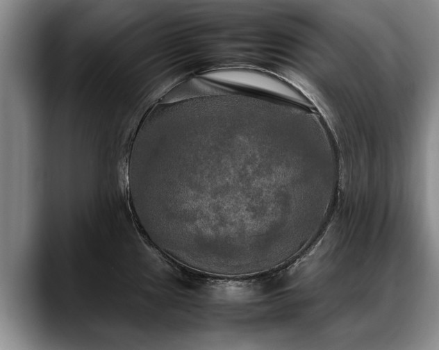 X0000088481241200705291621