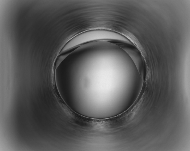 X0000088481242200705291621