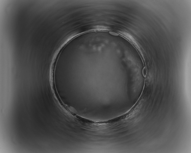 X0000088481243200705291621
