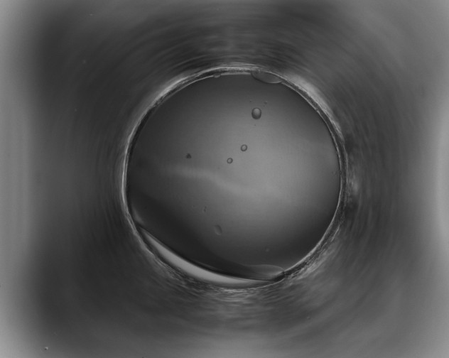 X0000088481245200705291621