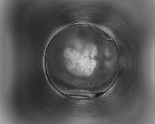 X0000088481247200705291621