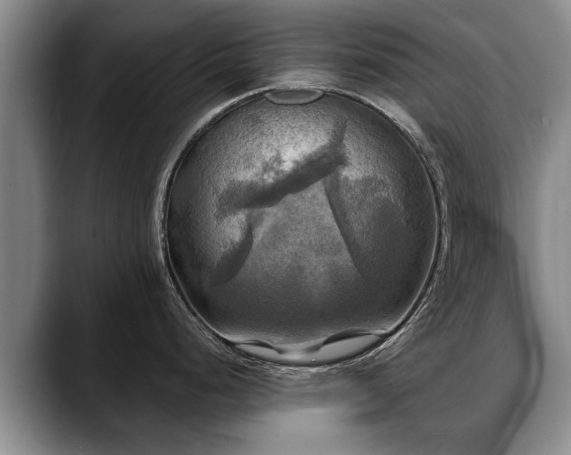 X0000088481248200705291621