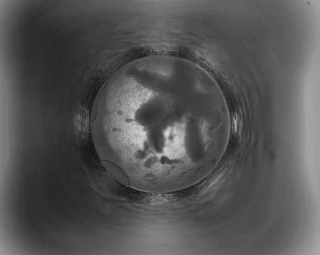 X0000088481251200705291620