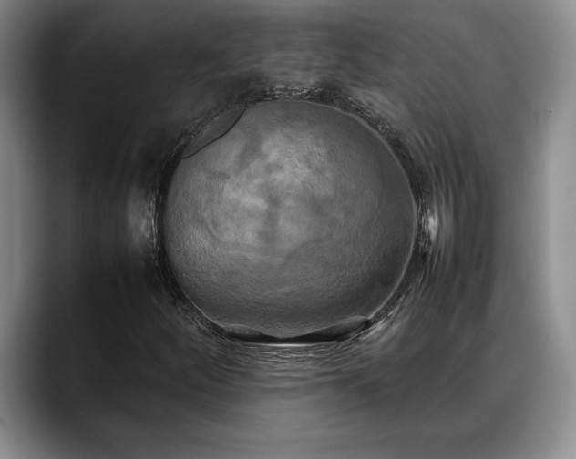 X0000088481252200705291620